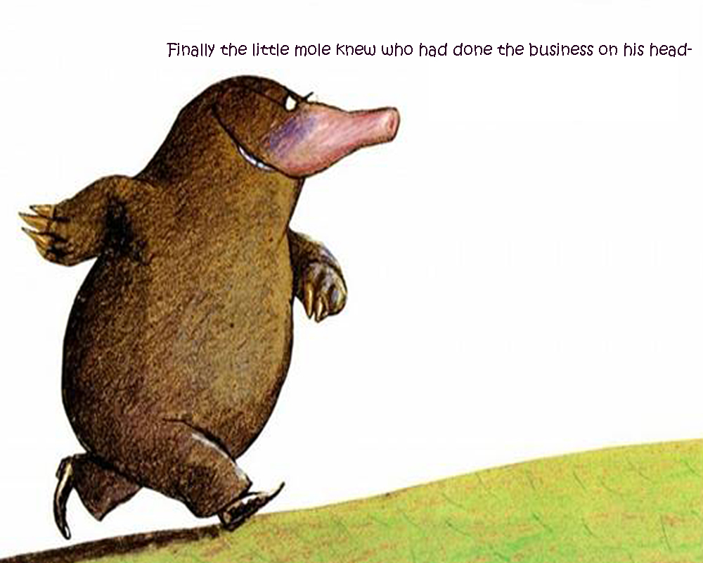 image04