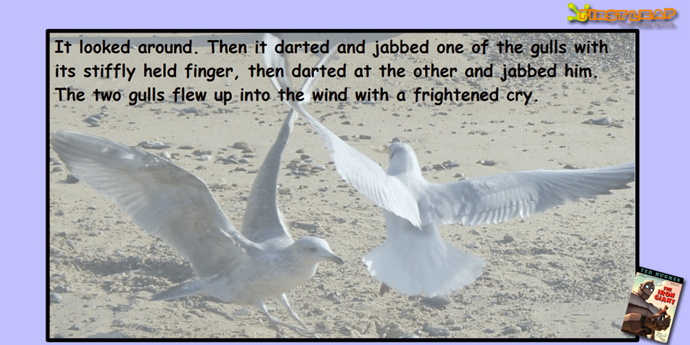 image02